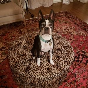 Meet your Posher, Chris